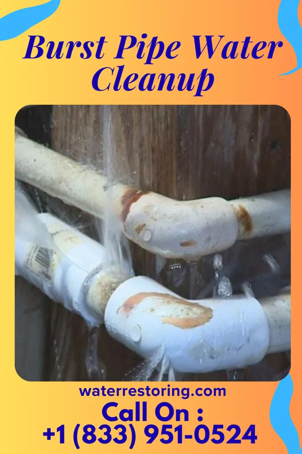 Burst Pipe Water Cleanup in Blackstone, VA