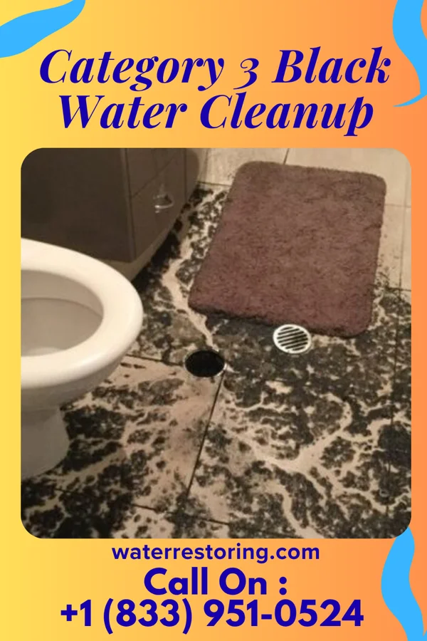 Category 3 Black Water Cleanup in Blackstone, VA