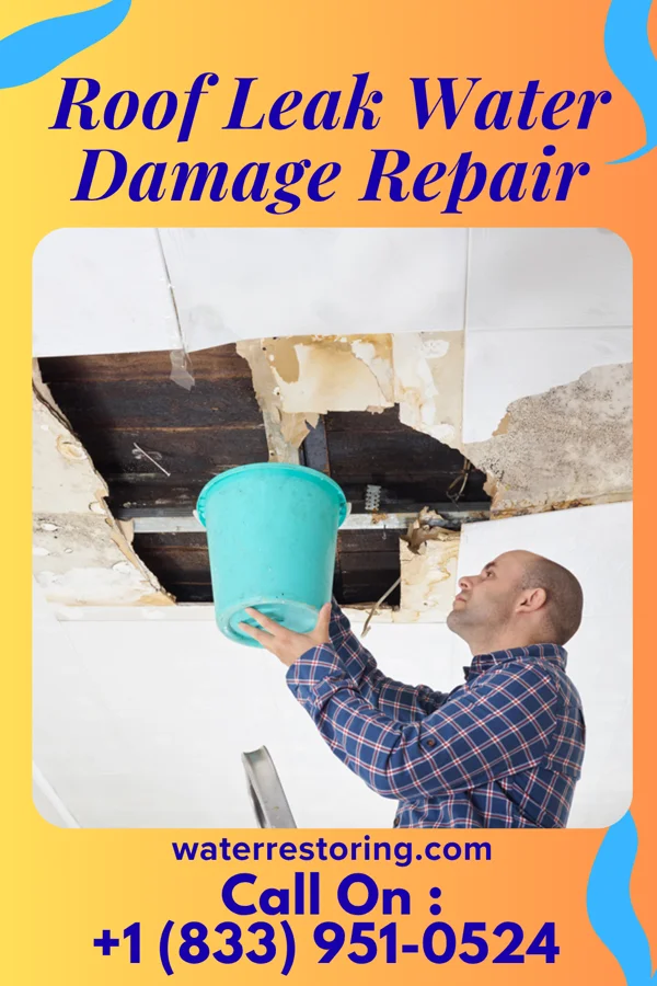 Roof Leak Water Damage Repair in Blackstone, VA